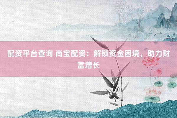 配资平台查询 尚宝配资：解锁资金困境，助力财富增长