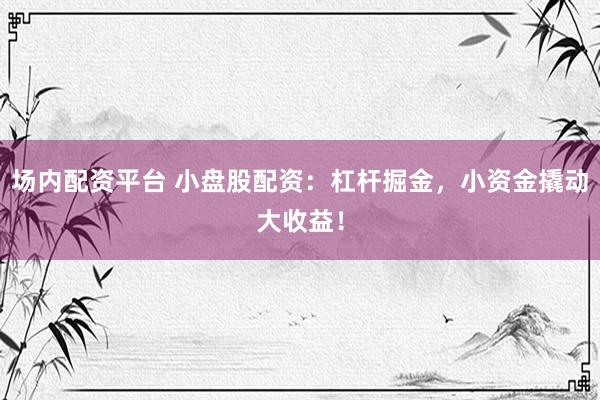 场内配资平台 小盘股配资：杠杆掘金，小资金撬动大收益！