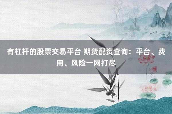 有杠杆的股票交易平台 期货配资查询：平台、费用、风险一网打尽