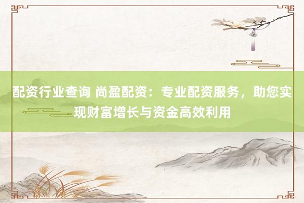 配资行业查询 尚盈配资：专业配资服务，助您实现财富增长与资金高效利用