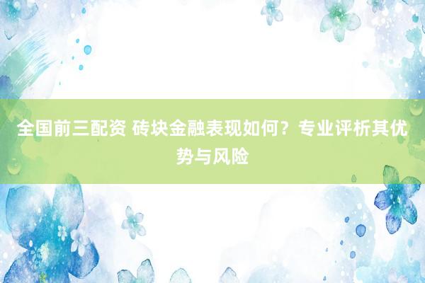 全国前三配资 砖块金融表现如何？专业评析其优势与风险