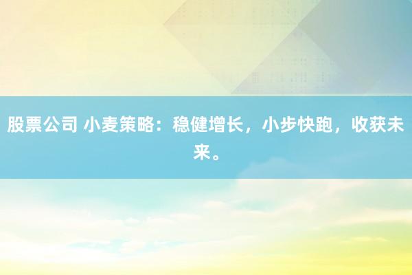 股票公司 小麦策略：稳健增长，小步快跑，收获未来。
