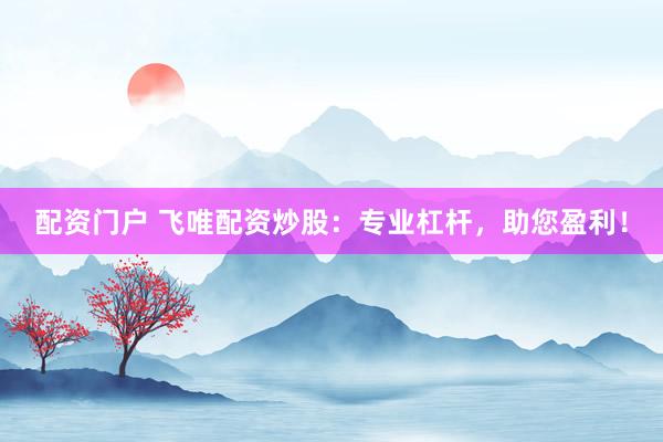 配资门户 飞唯配资炒股：专业杠杆，助您盈利！
