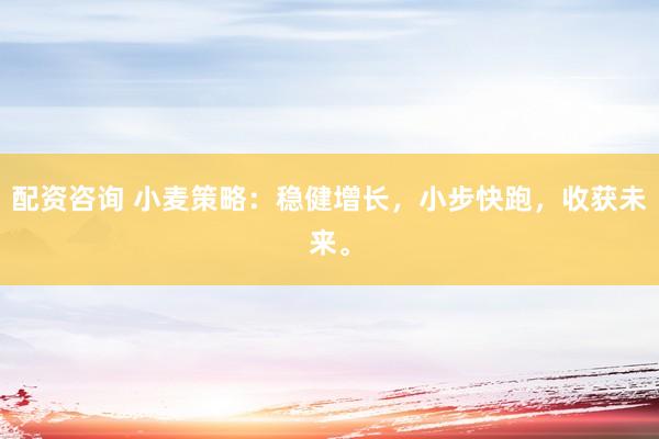 配资咨询 小麦策略：稳健增长，小步快跑，收获未来。