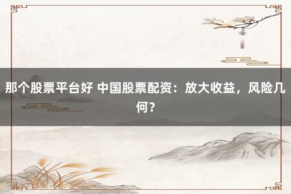 那个股票平台好 中国股票配资：放大收益，风险几何？