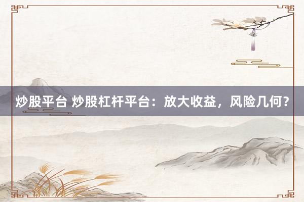 炒股平台 炒股杠杆平台：放大收益，风险几何？