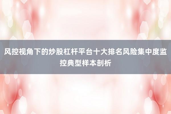 风控视角下的炒股杠杆平台十大排名风险集中度监控典型样本剖析