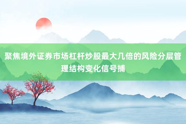 聚焦境外证券市场杠杆炒股最大几倍的风险分层管理结构变化信号捕