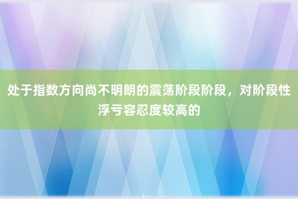 处于指数方向尚不明朗的震荡阶段阶段，对阶段性浮亏容忍度较高的