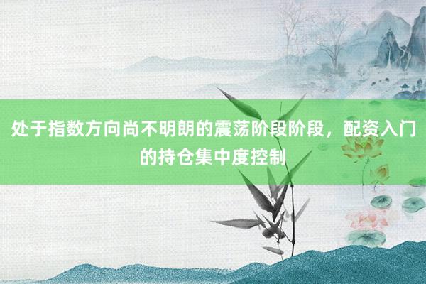 处于指数方向尚不明朗的震荡阶段阶段，配资入门的持仓集中度控制