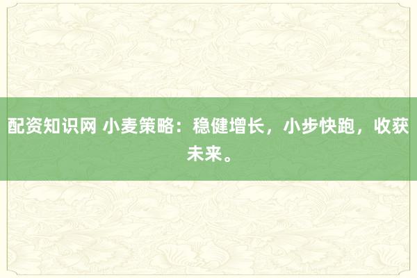 配资知识网 小麦策略:稳健增长,小步快跑,收获未来。